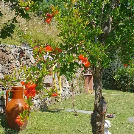 Ca' Olivella