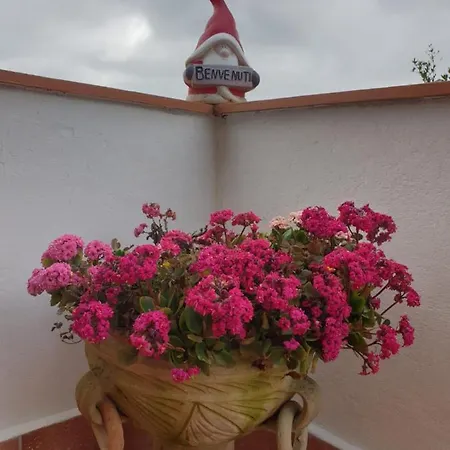 Ca' Olivella Казарца-Лигуре
