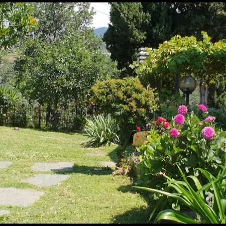 Villa Ca' Olivella